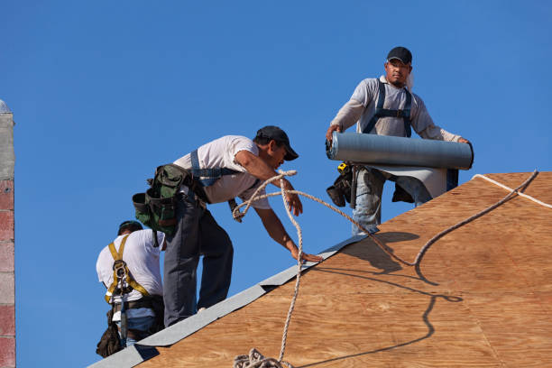 Best Residential Roof Replacement  in Homer, MI