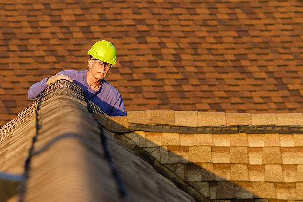 Best New Roof Installation  in Homer, MI