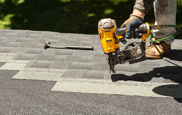 Best Sealant for Roof  in Homer, MI