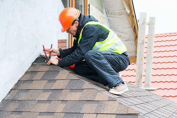 Best Roof Gutter Cleaning  in Homer, MI