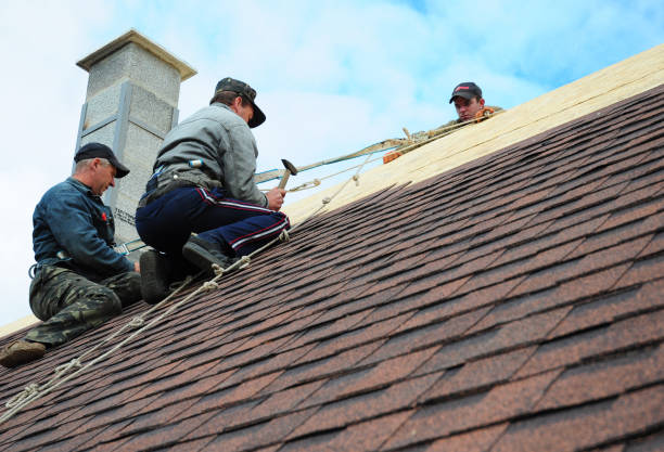 Sealant for Roof in Homer, MI