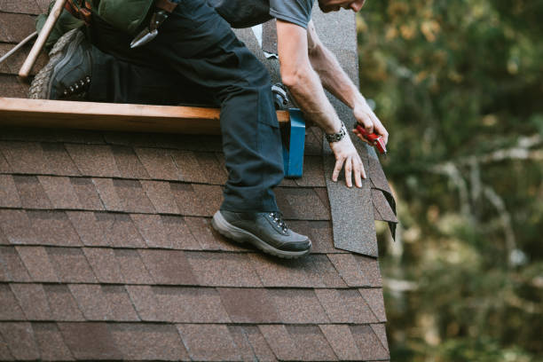 Best New Roof Installation  in Homer, MI